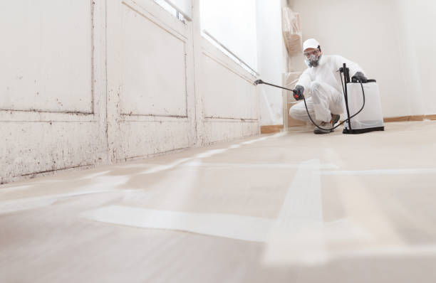24/7 Emergency Mold Remediation experts in Jessup, PA